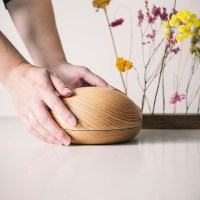 Moon Cremation Urn